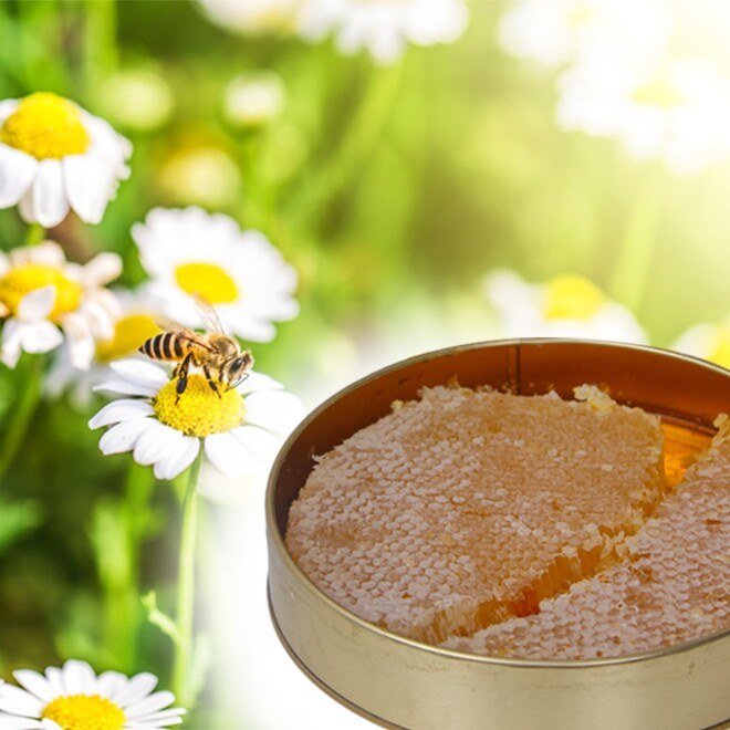 Organic honey with Honeycomb 1 kilo from Honey Leaves - 3