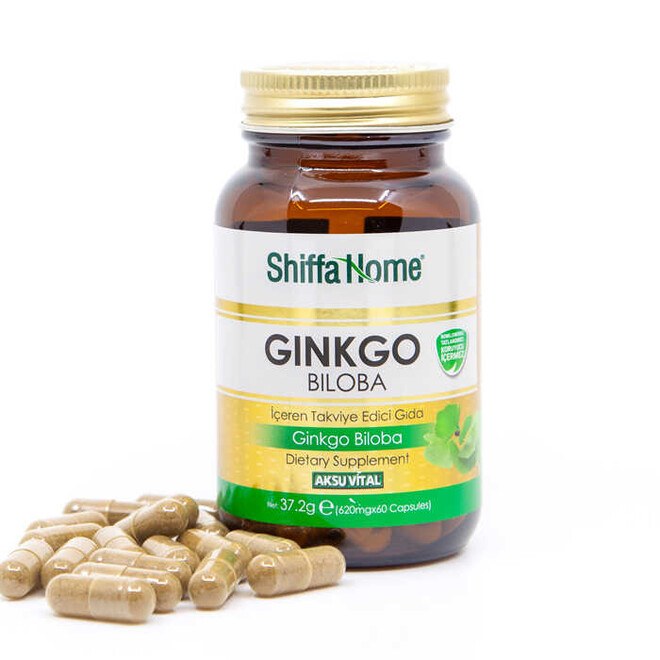 Shiffa Home Ginkgo Biloba capsules- memory enhancer nutritional supplements - 3